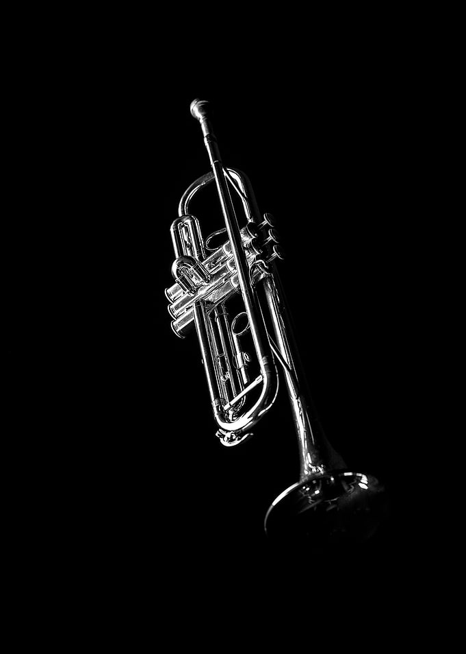 Trumpet. Photography: matteo mescalchin. Shot on Hassel ...