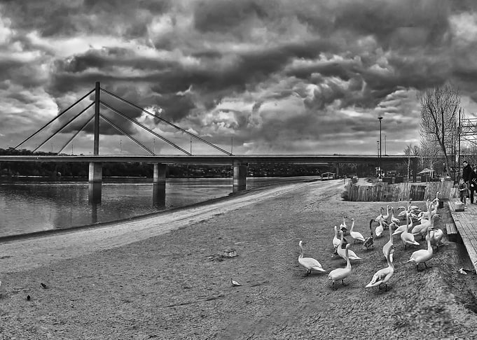 Autumn on the Danube river