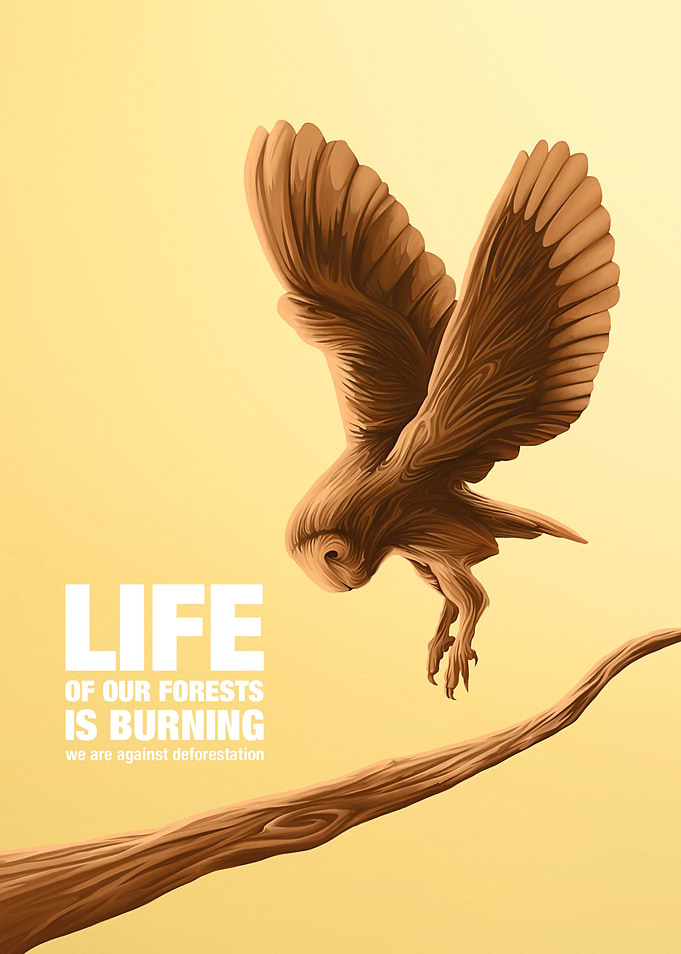 FOREST´s LIFE