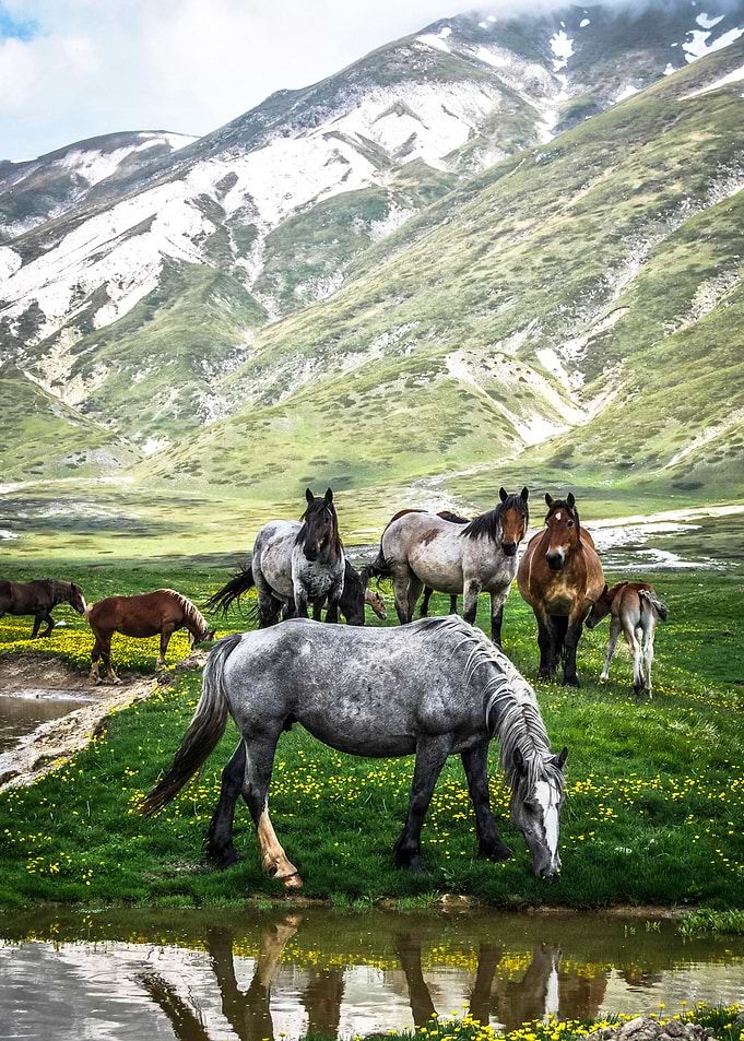 Campo Imperatore, Italy