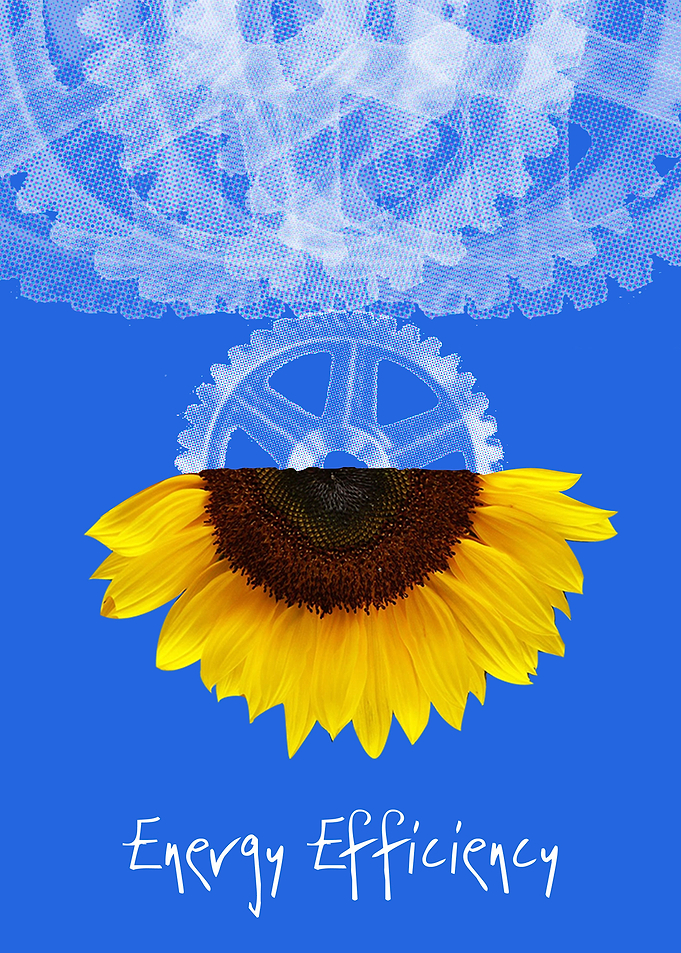 the use of alternative sources of energy, for a better ...