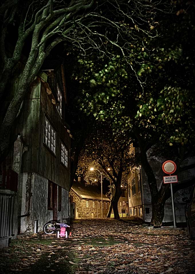 Saw this interesting spot, the leaves on the road, just ...