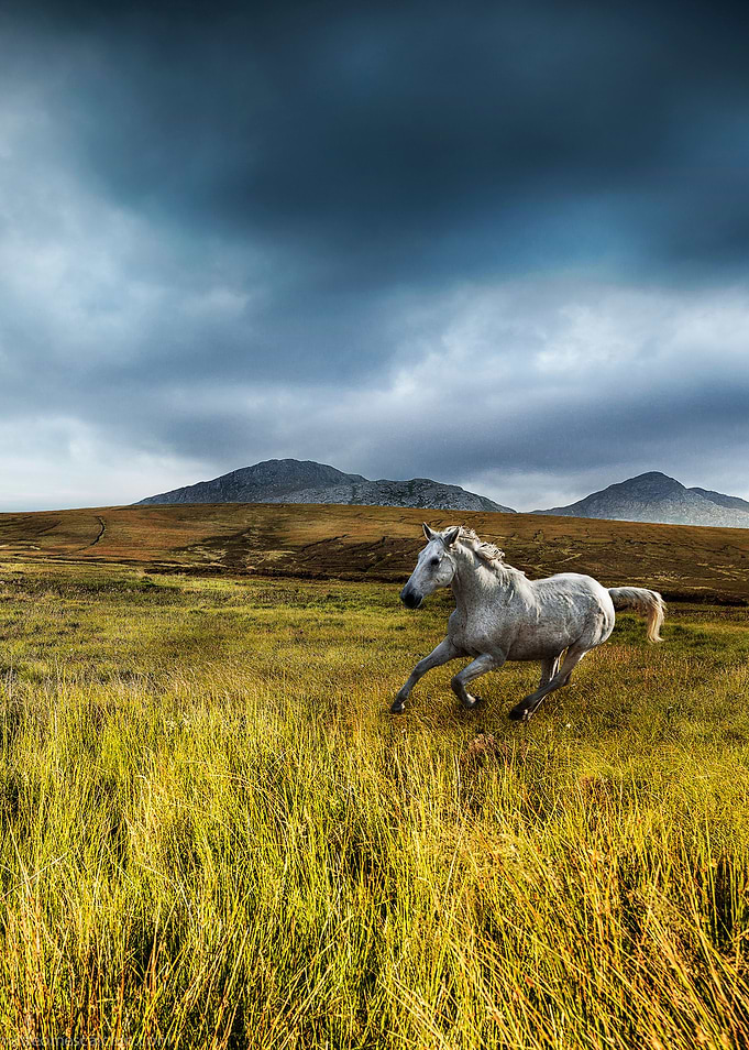 Personal work. Shot on hasselblad digital medium format ...