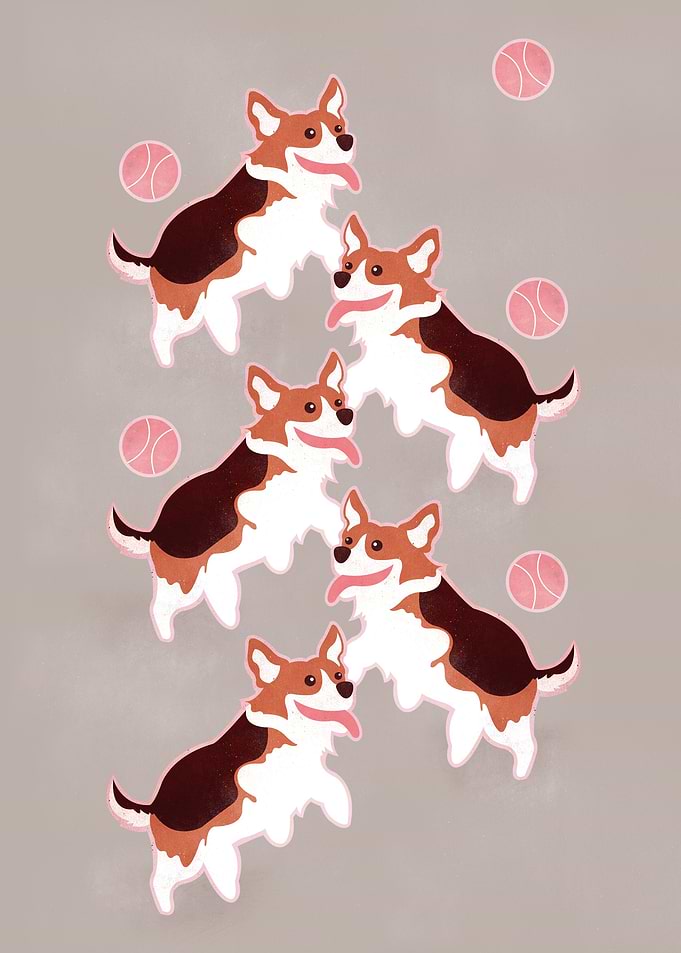 Jumping Corgi.