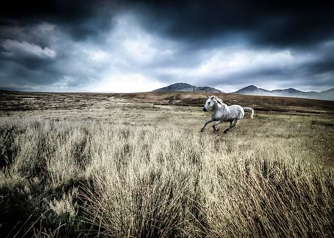 Personal work shot on hasselbad H3DII-50 digital back. ...