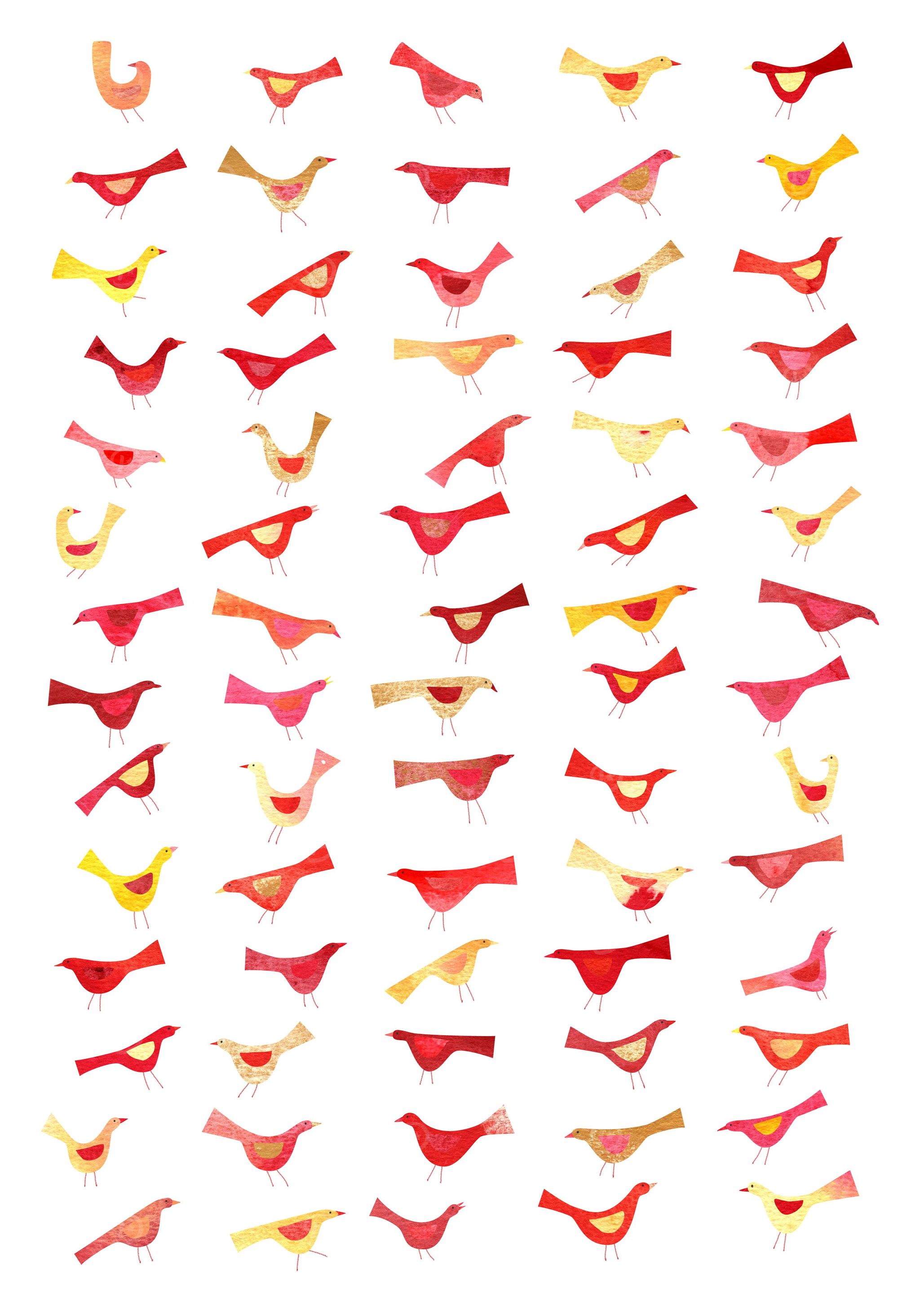 Undisciplined Birds
