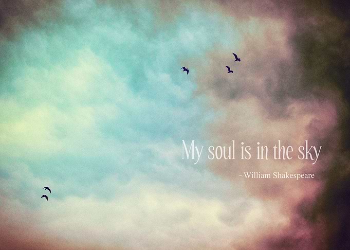 High in The Sky - ©Silvia Ganora - Do not copy without ...