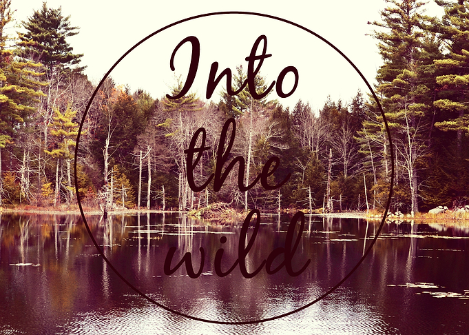 Into the Wild