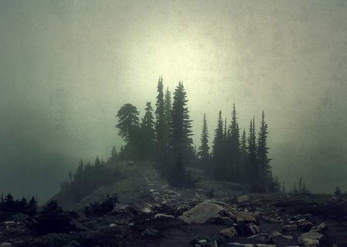 ' lost island ' film photography