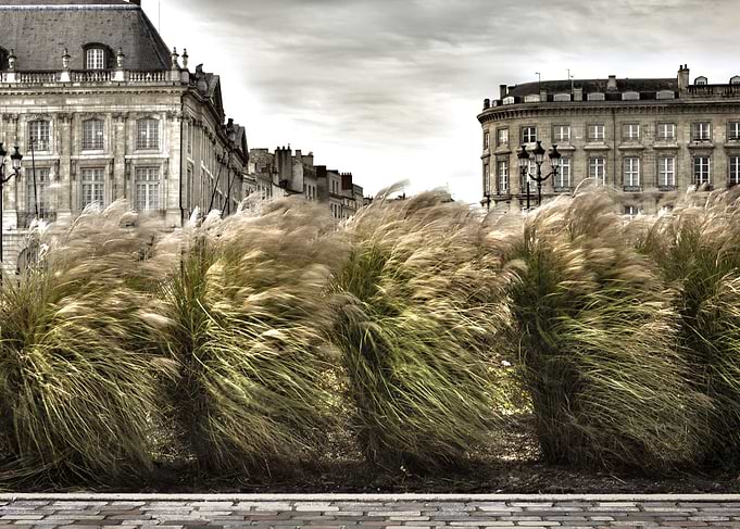 Bordeaux
