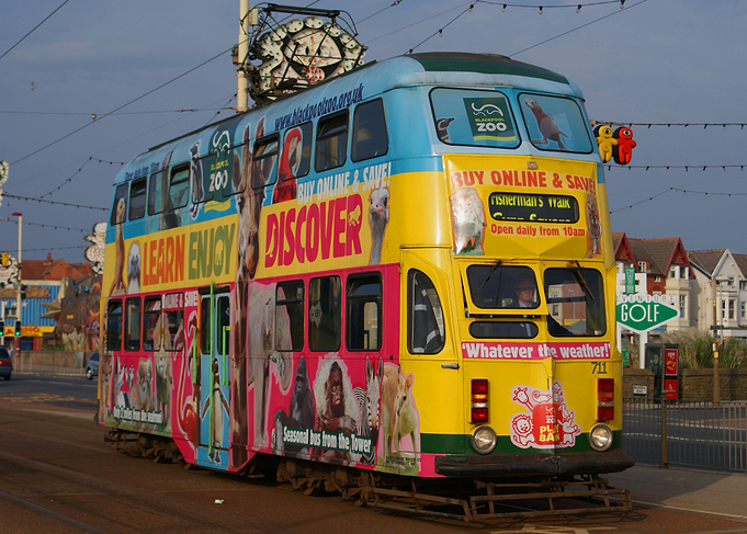 Blackpool Corporation Tram 711 in Blackpool Zoo Livery
