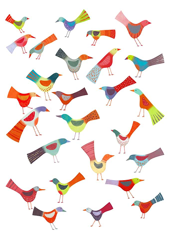 Birds Doing Bird Things