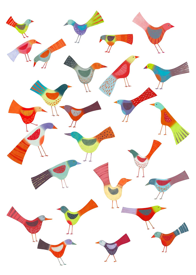 Birds Doing Bird Things