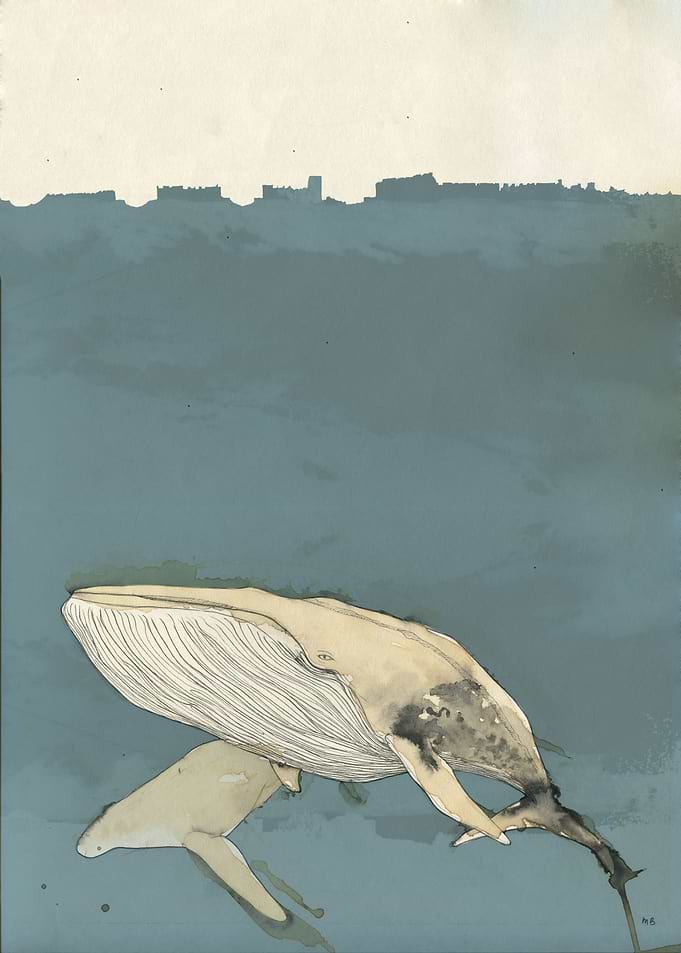 Whales are awesome. Painted with coffee and ink. Blue ...