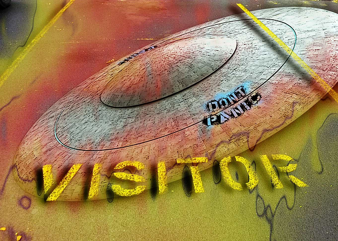 visitor parking? Does that include unidentified flying ...