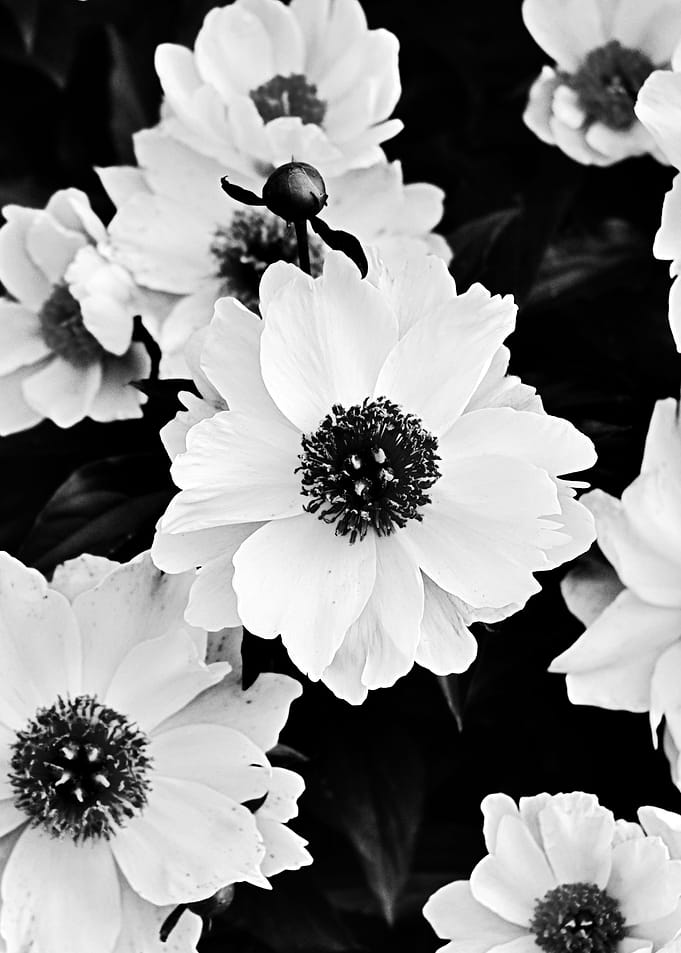 We spent the day at the arboretum, and everything was b ...