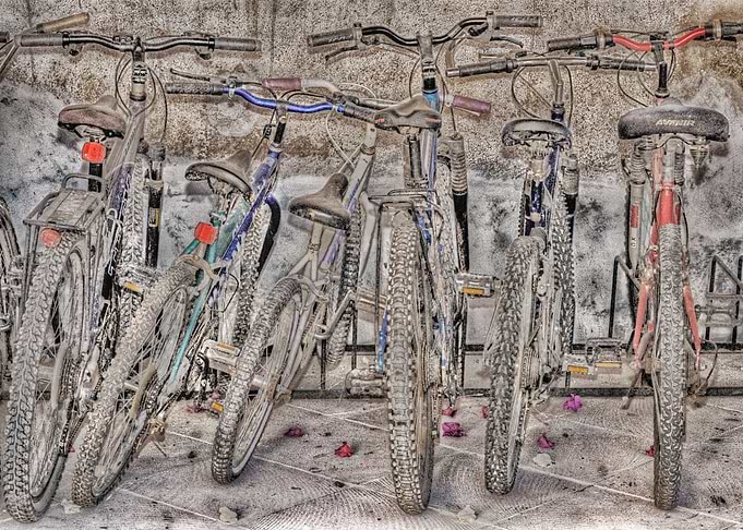 Waiting bikes