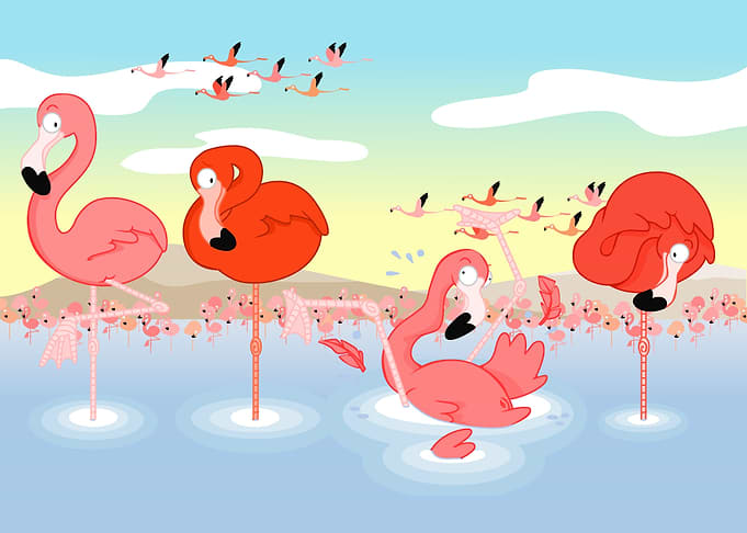 Flamingos