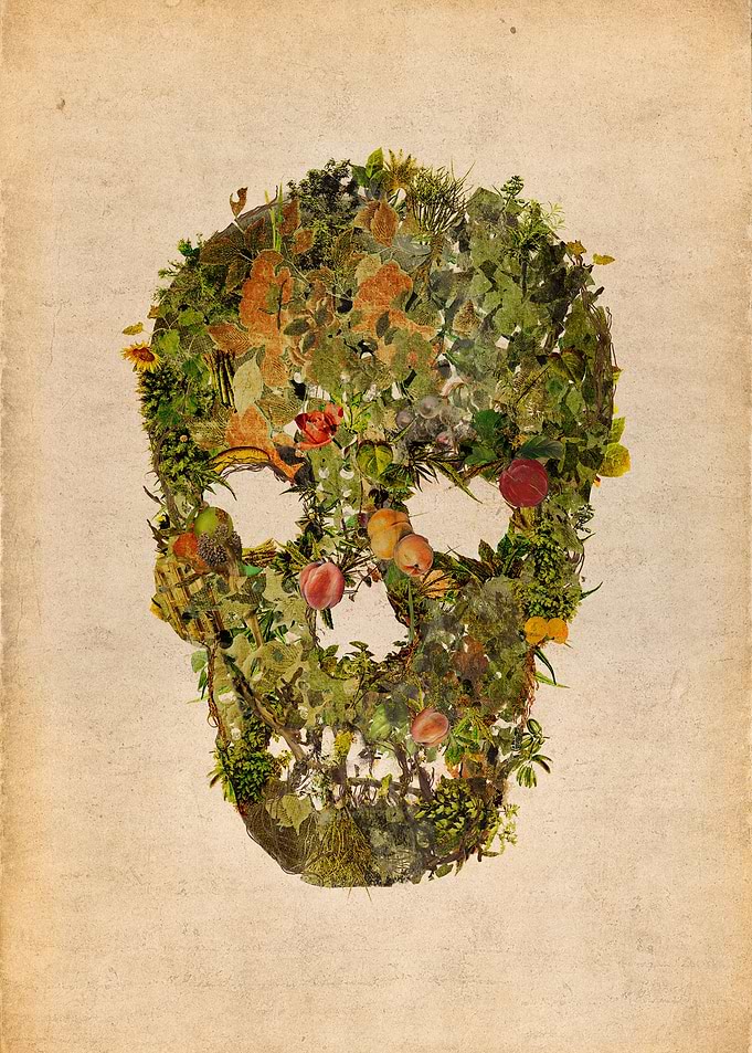 LIFE AND DEATH
