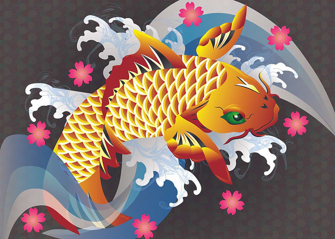 A colorful Japanese koi fish jumping out of the water, ...