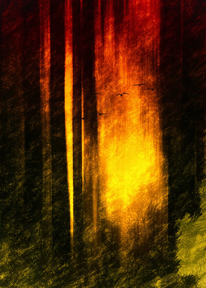 silence of the forest