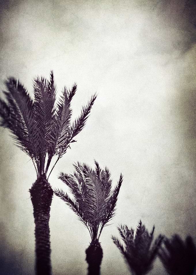 Trouble in Paradise...