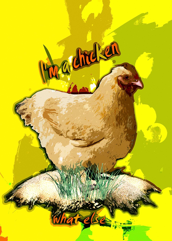 I'm a chicken....what else