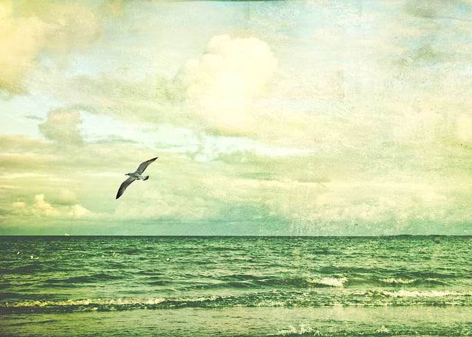 Photography and Texture