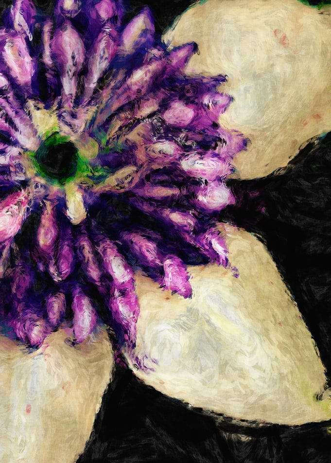 clematis photo digitally processed