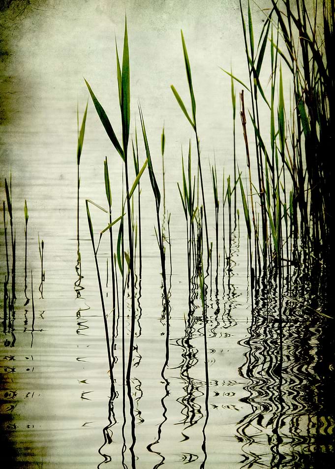 Mystery Lake