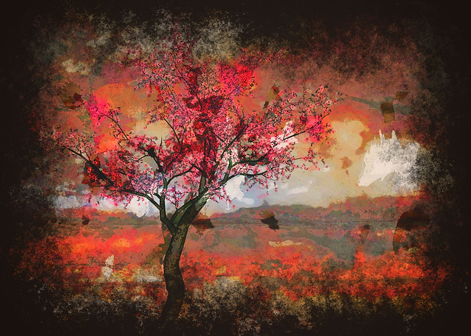 Japanese cherry tree