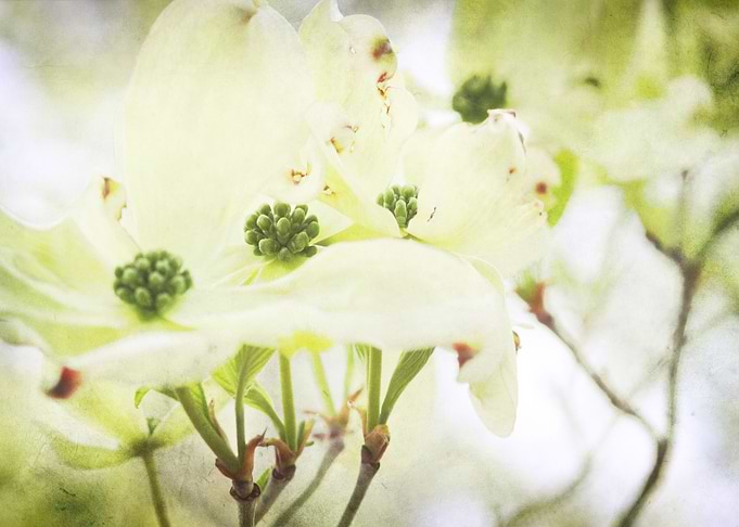 Photography and Texture