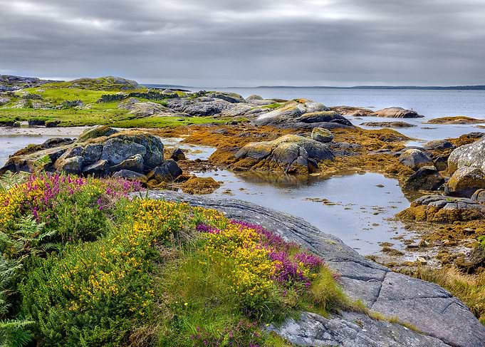 Colorful coral sand beach in low tide and cloudy sky.