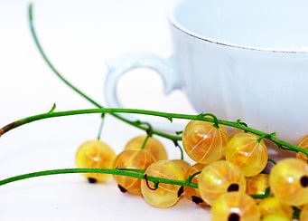 currants white photography