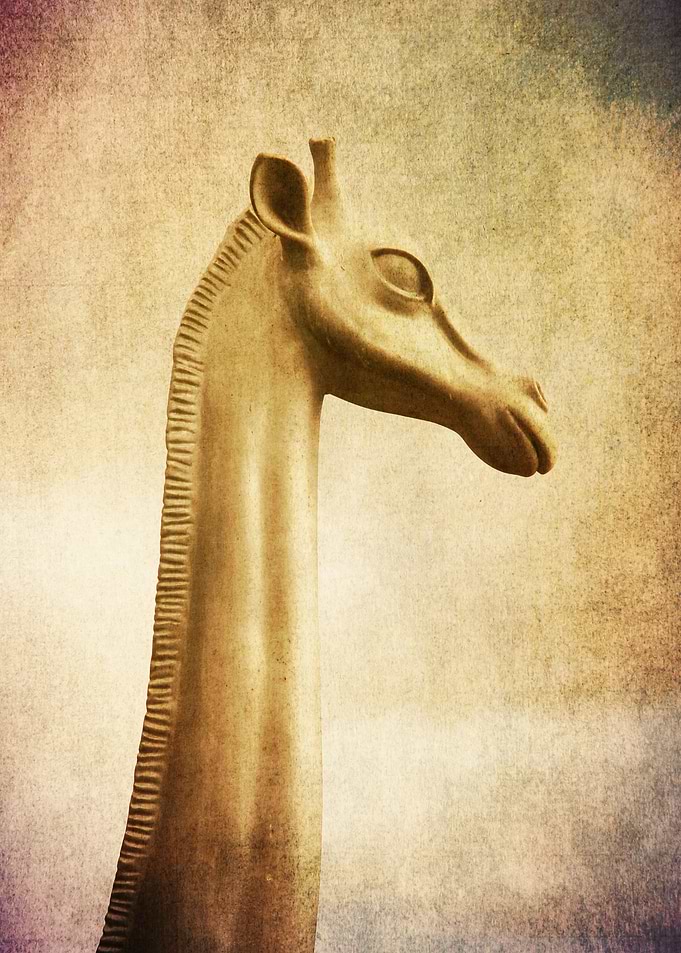 The Giraffe