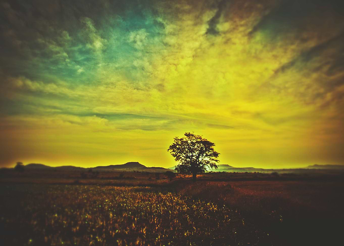 Landscape