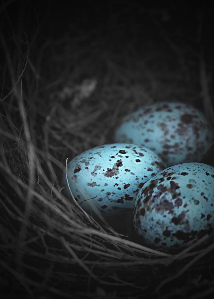 Nest of 3...