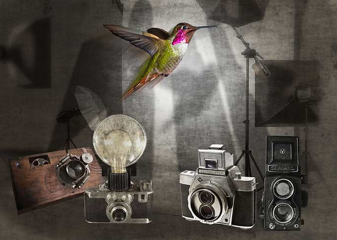 Watch the Birdie!! I have spent the better part of m ...