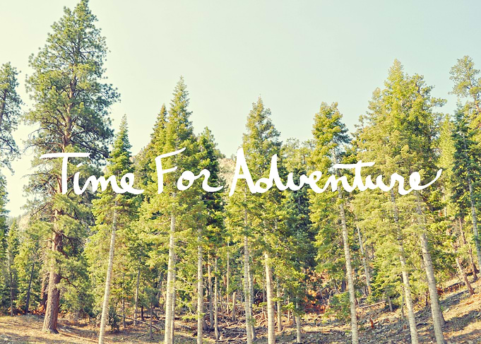 'Time For Adventure' Nature Photography, Pine Trees, th ...
