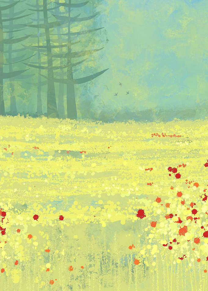 Meadow near Périgeuex