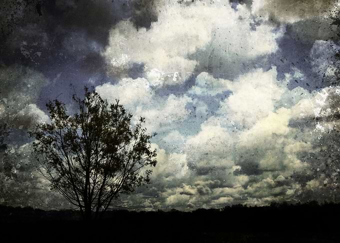 A lonely tree
