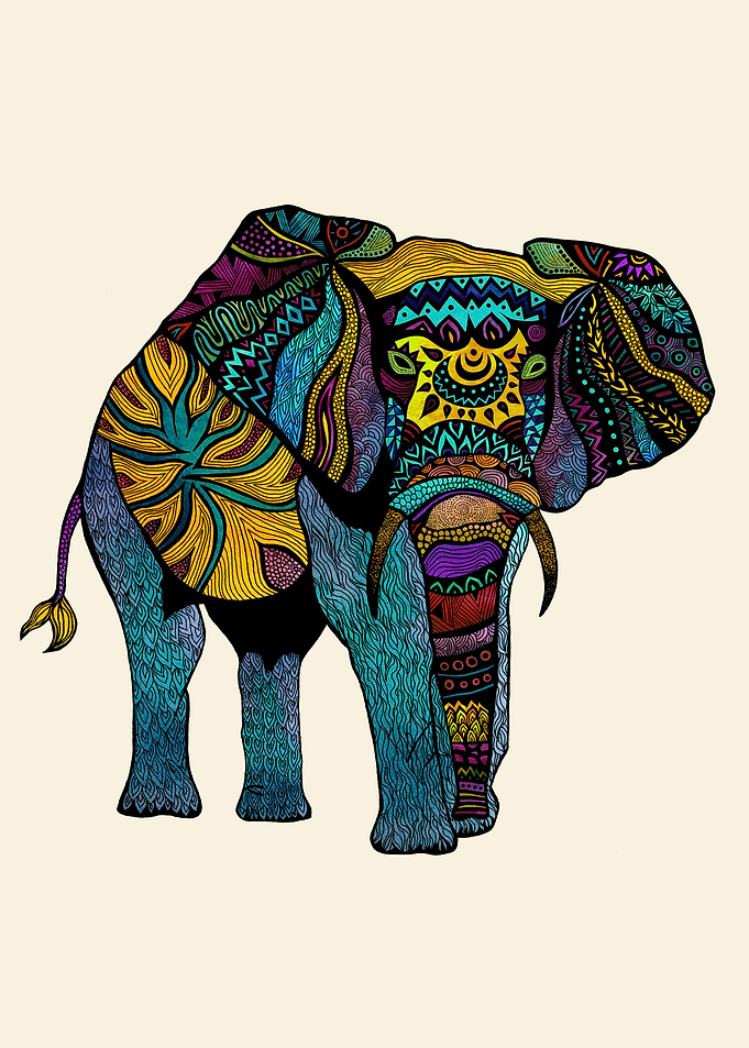 'Tribal Elephant of Namibia'