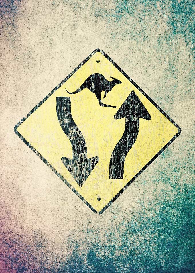 Kangaroo Traffic Sign =D