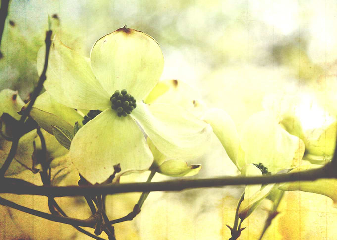 Photography and Texture