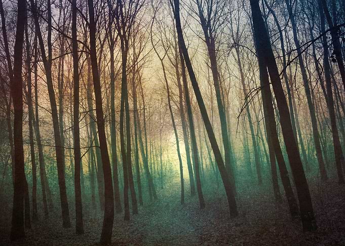 Enchanting Nature...