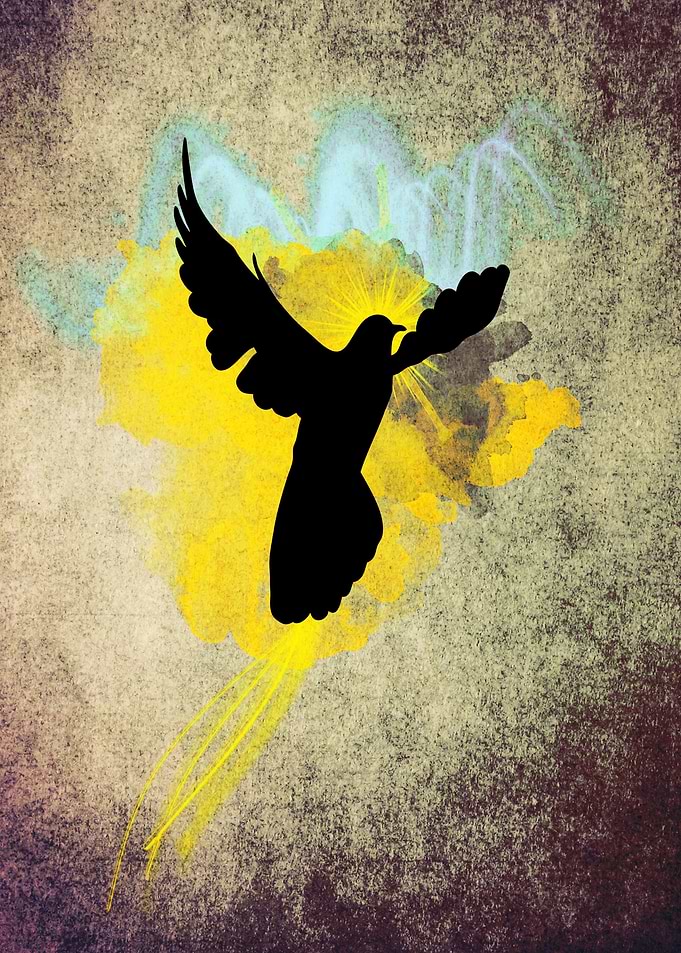 I believe I am a Phoenix...