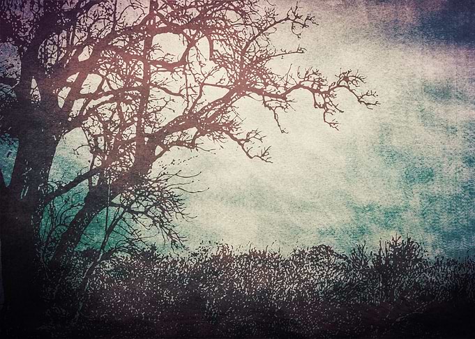 'I like trees because they seem more resigned to the wa ...