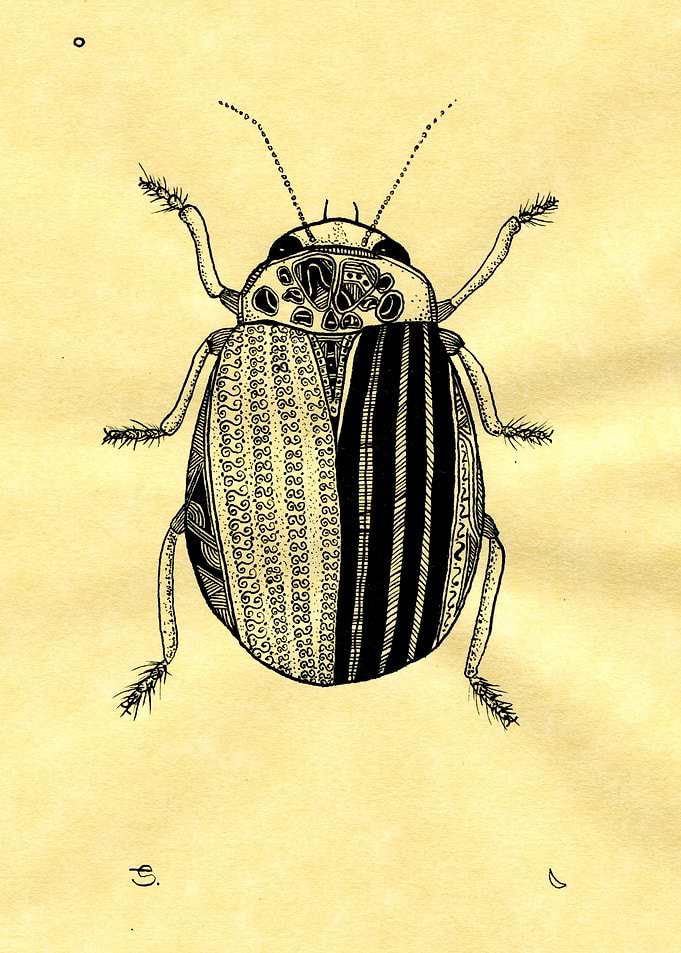 Precious little bugger. freehanded ink.