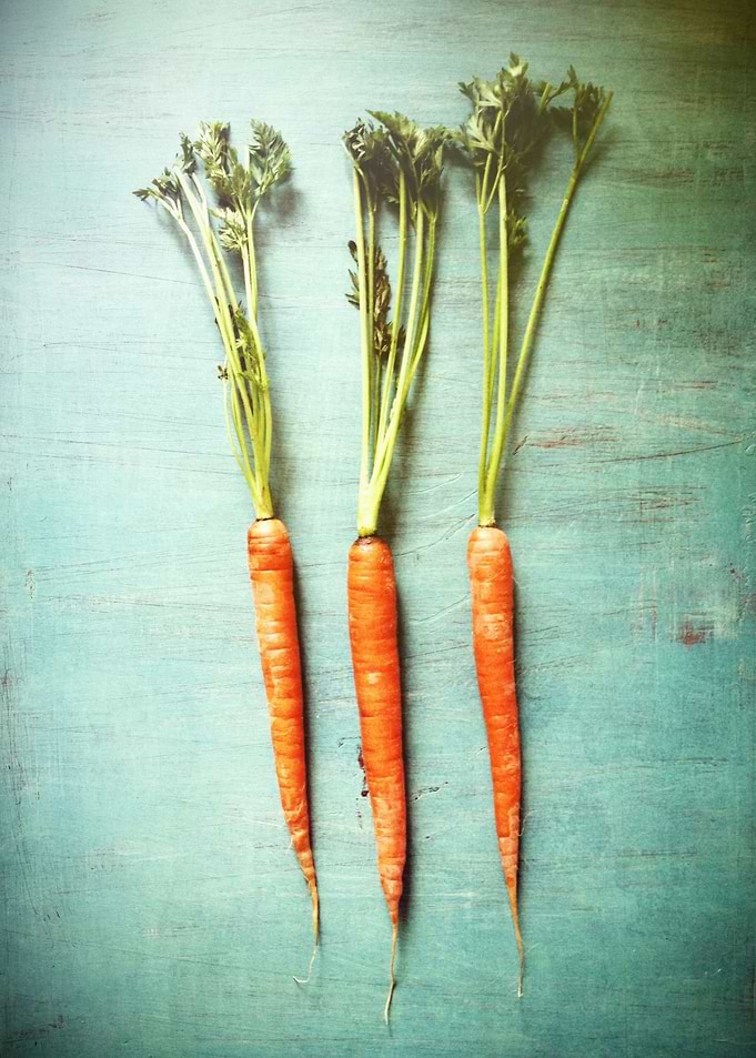 Three orange carrots waiting to be prepared for a meal! ...