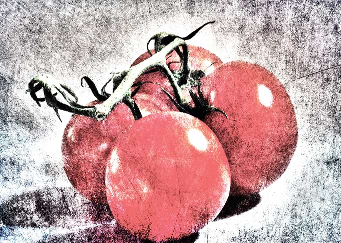 four tomatos with texture